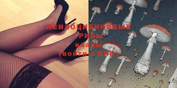 СК Армянск