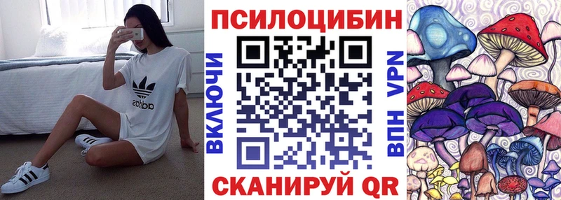 дарк нет состав  Карачаевск  Псилоцибиновые грибы Psilocybe 