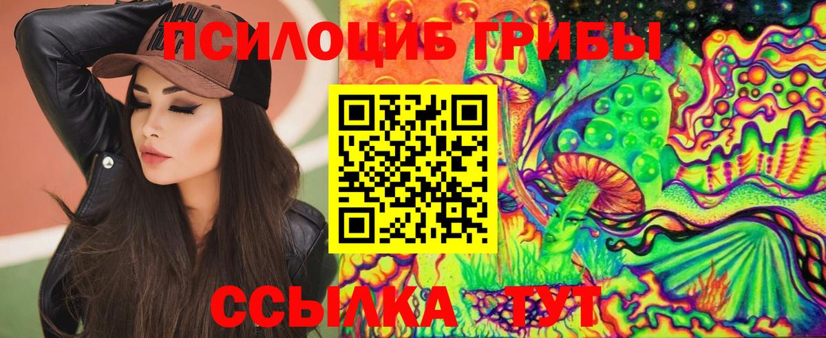 Галлюциногенные грибы MAGIC MUSHROOMS  Вход с VPN  Карачаевск 
