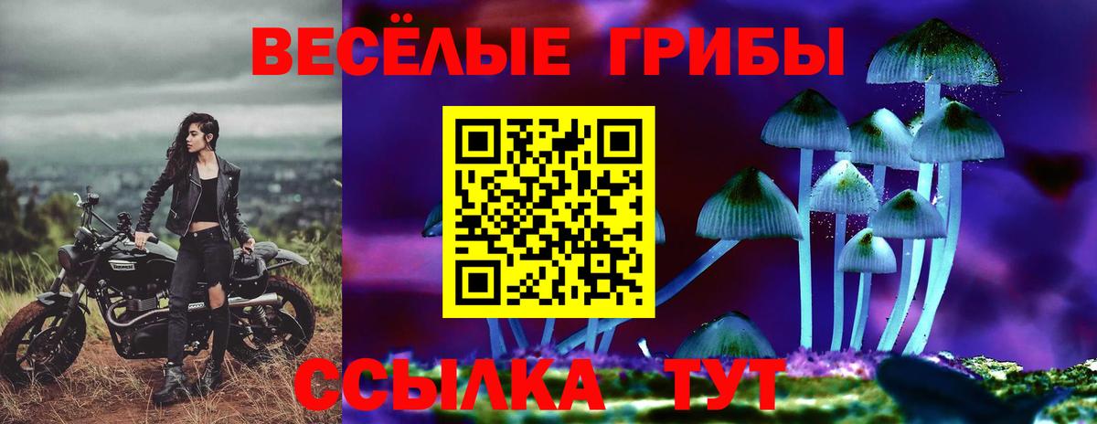 Галлюциногенные грибы прущие грибы Карачаевск